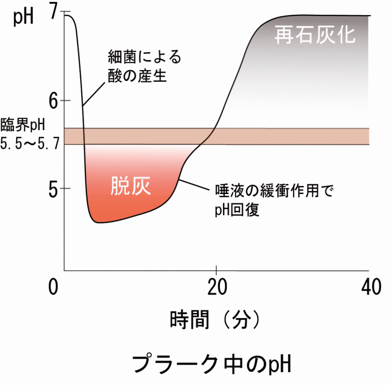 カーブ ステファン